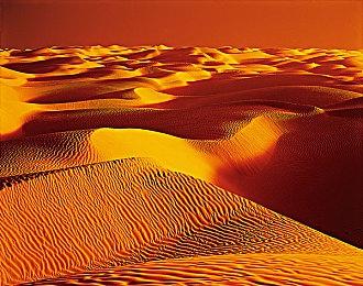 《星际战士2》推动发行商第三季度游戏收入增长近8倍